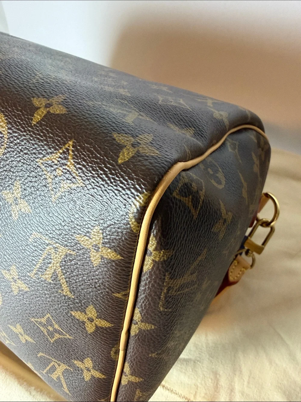 Louis Vuitton Speedy 30 Crafty